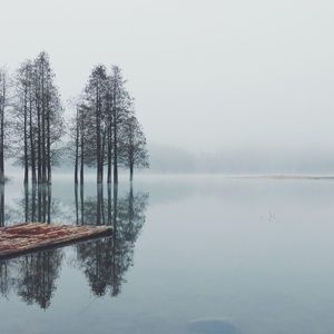 Meet your Posher, Tosin